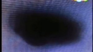 HVA: petushok_i_koshechka