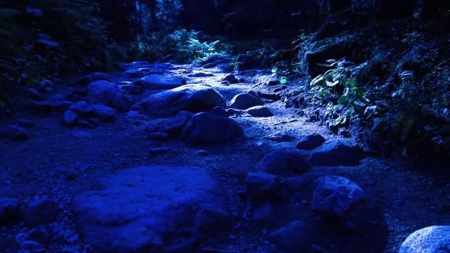 ИНСТРУМЕНТАЛЬНАЯ МУЗЫКА — ИСТИННОЕ НАСЛАЖДЕНИЕ ДЛЯ ДУШИ! смотреть онлайн