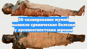 3D-сканирование мумий выявило хронические болезни у древнеегипетских жрецов