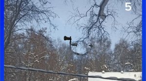 Топ 10 сиреноголовых