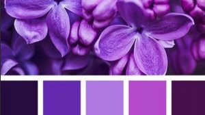 МУКБАНГ : Куриные ножки.  Мне на все фиолетово..   ПОДПИШИСЬ