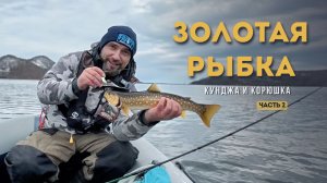 Золотая рыбка. Корюшка и кунджа - часть вторая