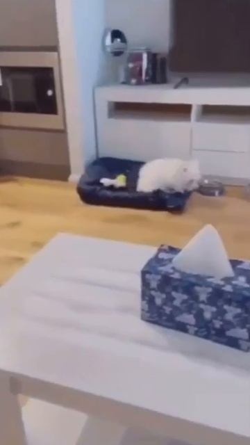 Несите зарядное устройство🤭))