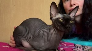 Воскресные ласки 😘🥰🐈⬛🫶