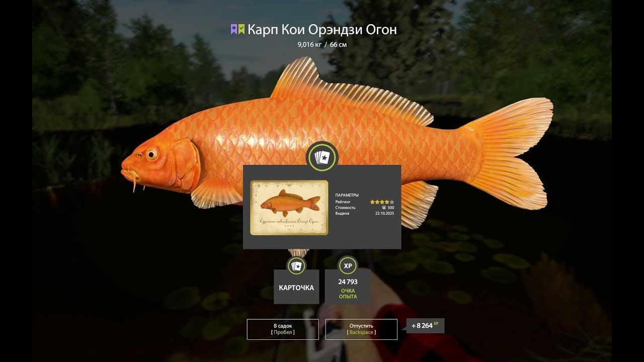 ПРОВЕРЯЕМ ЛУЧШИЕ ТОЧКИ С КОИ НА МЕДНОМ И ДРУГИЕ ВОДОЕМЫ В РУССКОЙ РЫБАЛКЕ 4 СТРИМ смотреть онлайн