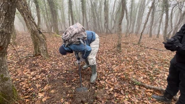 Прогулка по лесу #нашли что-то смотреть онлайн