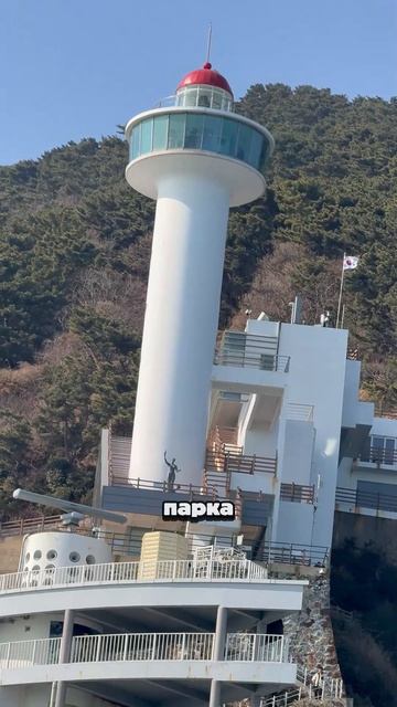 Куда сходить в Пусане в 2026 году. Прогулка на катере.  southkorea южнаякорея  korean