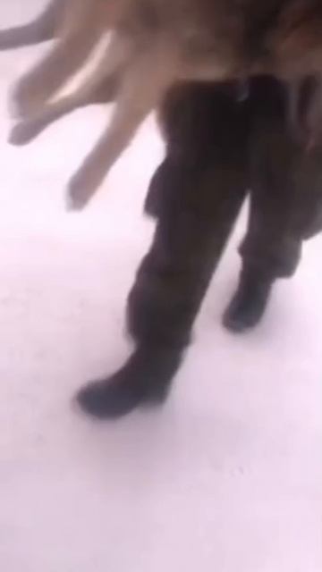 🟥🟥🟥🟥🟥🆘🆘🆘🟥🟥🟥🟥🟥
«СРОЧНО! Меня убьют "по закону" уже 12 февраля — отчитаются и получат 🟥🟥🟥🟥🟥🆘🆘🆘🟥🟥🟥🟥🟥
«СРОЧНО! Меня убьют "по закону" уже 12 февраля — отчитаются и получат