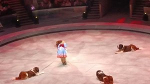 В цирке на Вернадского.