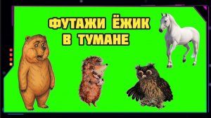 ЁЖИК В ТУМАНЕ ФУТАЖИ анимация на зелёном экране. Хромакей футаж GREEN SCREEN.