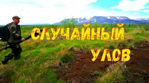 лучайно нашли озеро в окрестностях Норильска. Клевал окунь на виброхвост, вертушку и червя