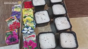 Посев ПЕТУНИИ 🌺 в снег ❄️