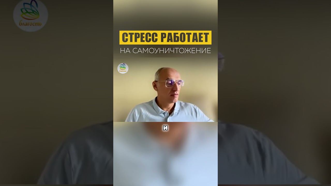 Стресс #Торсунов #благость #счастье смотреть онлайн