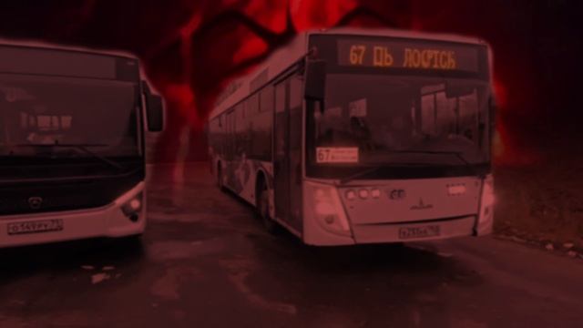 автобус  261