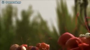 О силе единства.