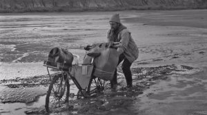 На велосипедах по пустыне