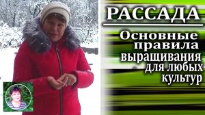 Самые главные правила при выращивании рассады л
