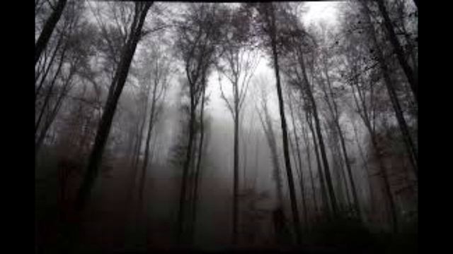 ГРАНИЦА | МЯСНИК | Страшные истории на ночь. Страшилки на ночь ГРАНИЦА | МЯСНИК | Страшные истории на ночь. Страшилки на ночь