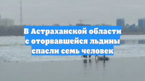 В Астраханской области с дрейфующей льдины на Волге спасли семь человек