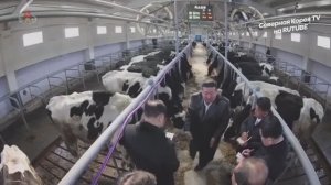 Лидер КНДР Ким Чен Ын церемония ввода в строй Самгвангского животноводческого комплекса, 03.02.2026