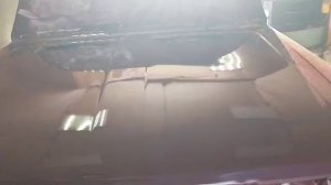 Профессионал покраски.