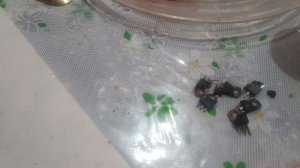 Красоты в ленту 😃