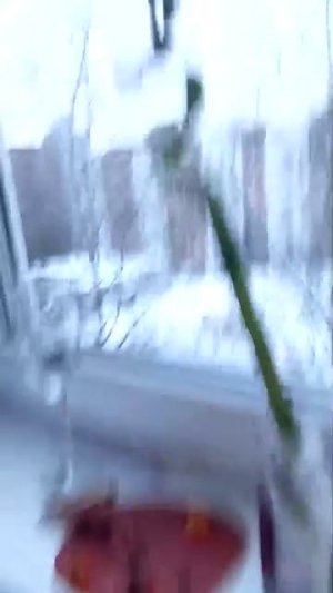 продолжение