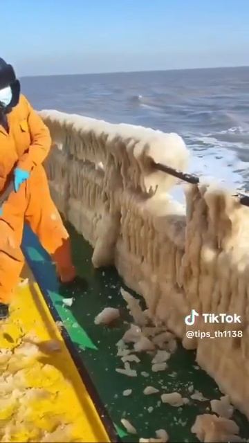 Кто-нибудь знает, что это?