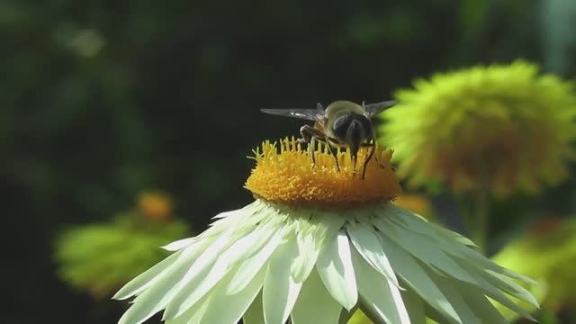 Грусть минора смотреть онлайн