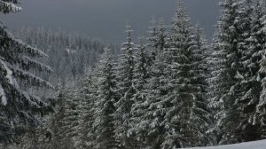 Блэкаут произошел на украинском горнолыжном курорте Буковель