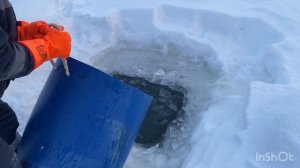 Запуск форели - 96кг