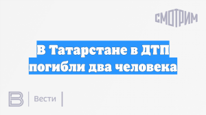 В Татарстане в ДТП погибли два человека
