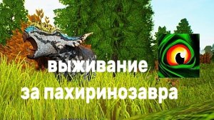 ленивое выживание пахирины