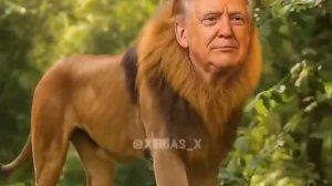 Политота №1