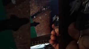 video_20250217_111957