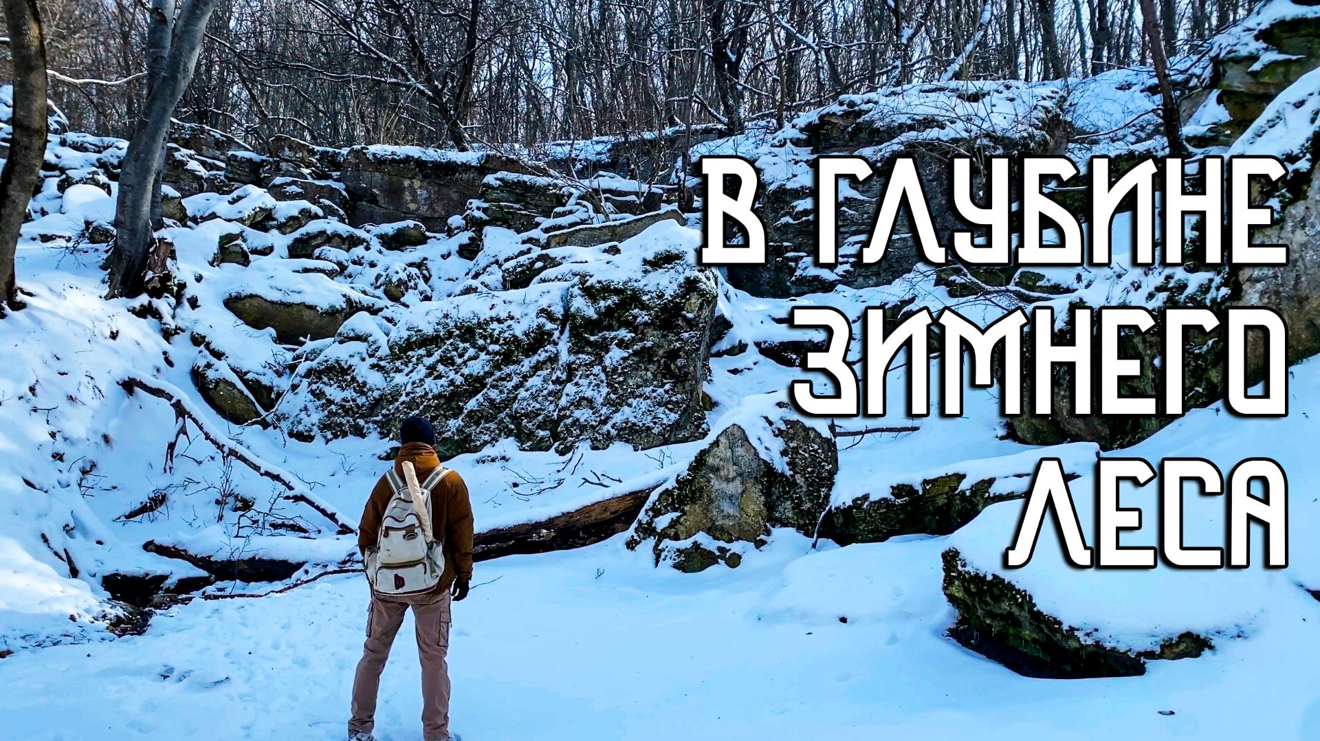 В глубине зимнего леса / Ветер гнёт и ломит деревья / Звериные тропы смотреть онлайн