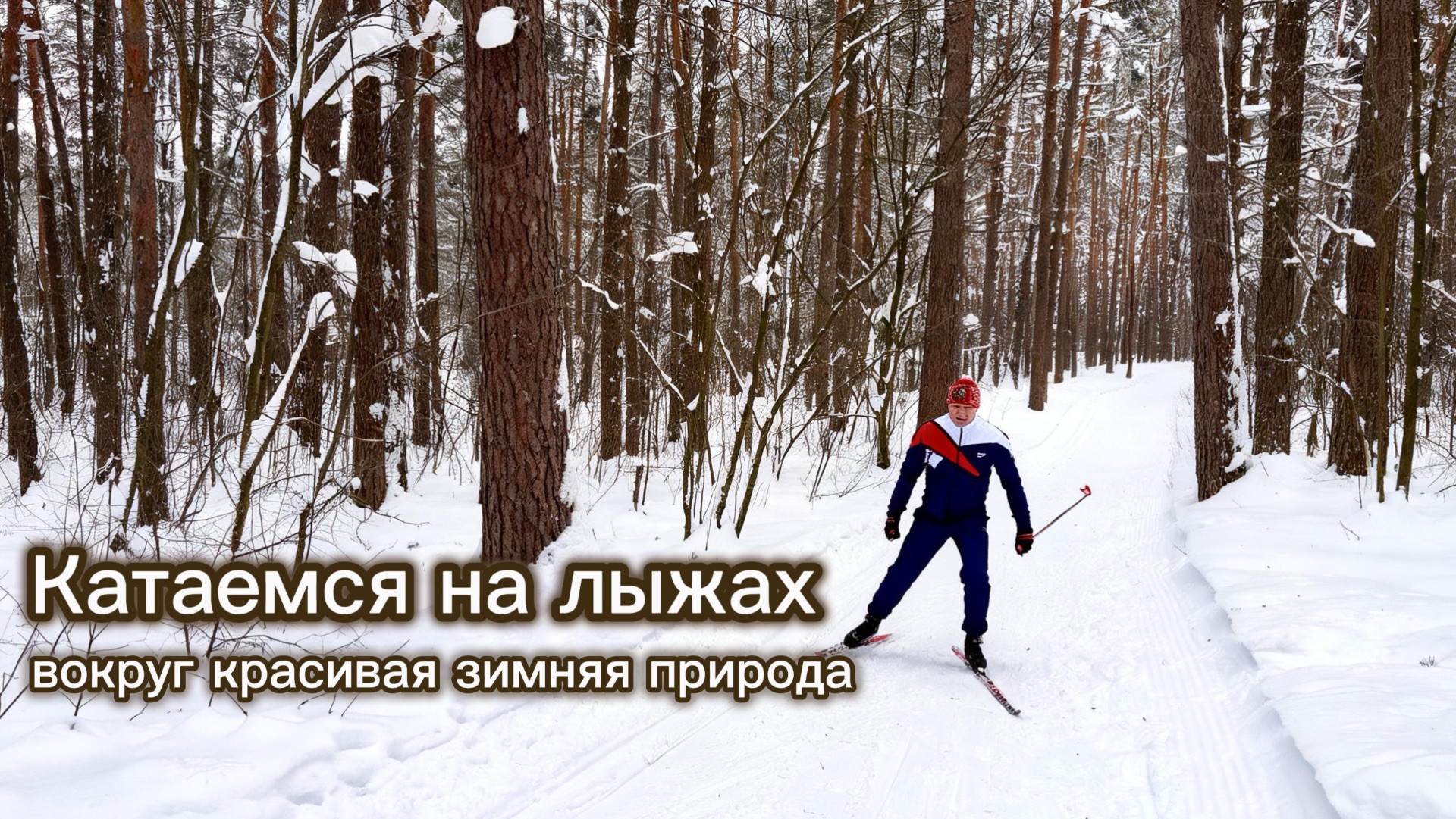 Едем кататься на лыжах в лес. Красивая природа и свежий морозный воздух.