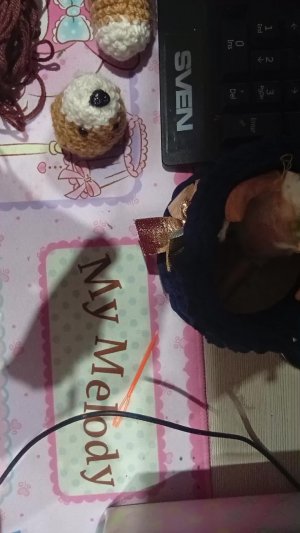 вечерняя трансляция