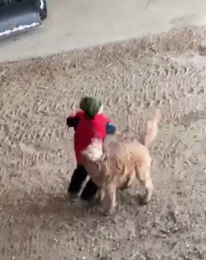 Переигpал малого