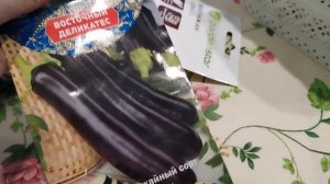 Пора Баклажанам пришла🌱🍆