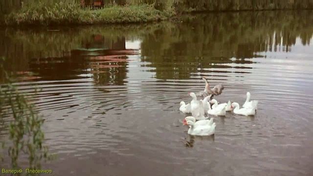 ДЛЯ МЕНЯ ТЫ ЛУЧШАЯ НА СВЕТЕ смотреть онлайн