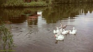 ДЛЯ МЕНЯ ТЫ ЛУЧШАЯ НА СВЕТЕ