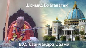 08.02.2026 || Шримад Бхагаватам 11.5.47 || Е.С. Кавичандра Свами