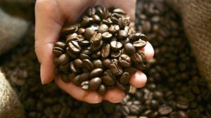 Мировые цены на кофе снижаются пятый месяц подряд