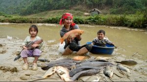 Вылавливаю большую рыбу из пруда на продажу. Заготовка утиных яиц для консервации. Дуонг. Вьетнам