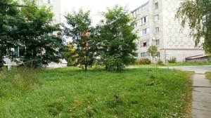 #ах эта осень вспомним..