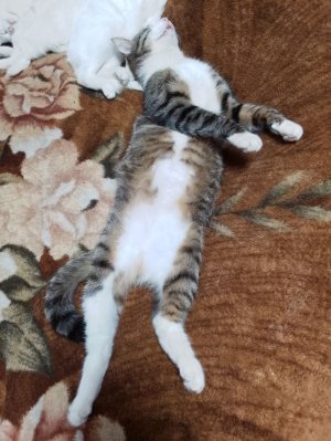 друзья давайте знакомиться 💞