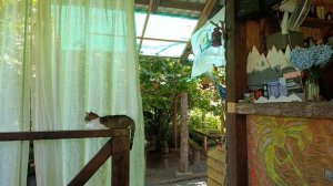 Дорога к месту старта рафтинга на реке Кодор. 22.07.2025.