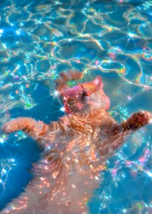 приходите на трансляцию.