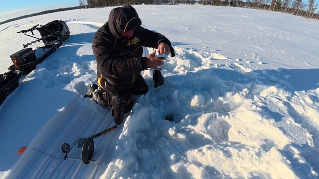 Рыба моей мечты смотреть онлайн